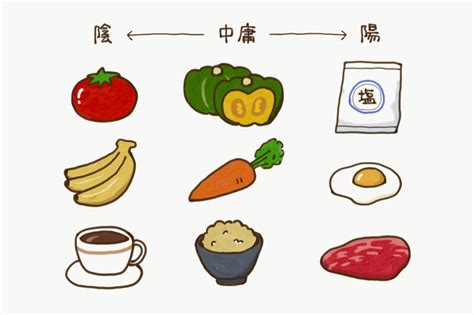 陰陽調理法|食べ物の「陰陽」とは？見分け方と自分の体質を知っ。